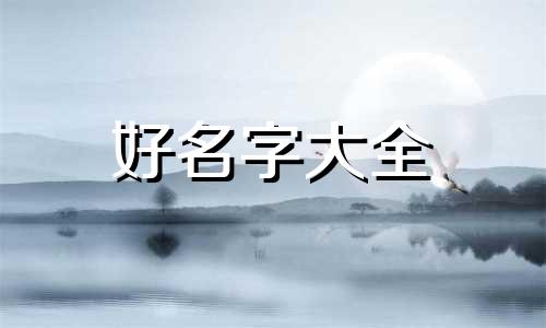 姓何的小孩子如何起名字