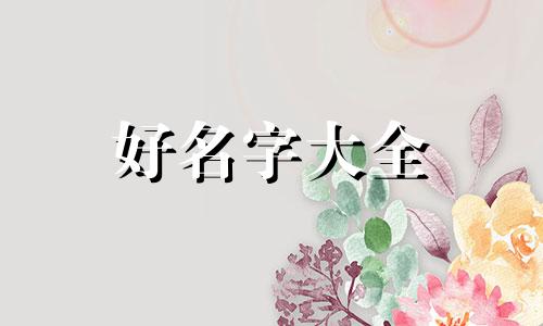 兔男宝如何起名字比较好