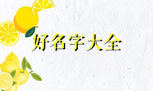 如何为一只猫起名字男孩