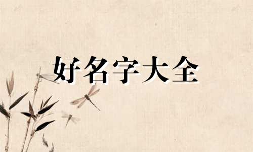 女孩子五行缺木如何起名