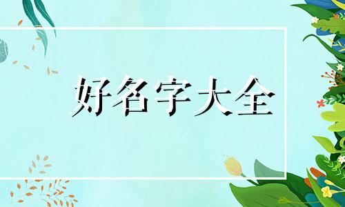一窝3只小猫如何起名字