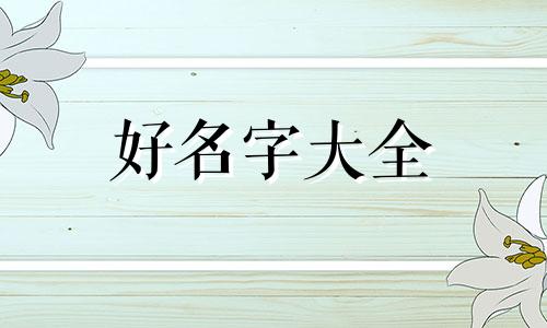 如何给队伍起名称大全女生