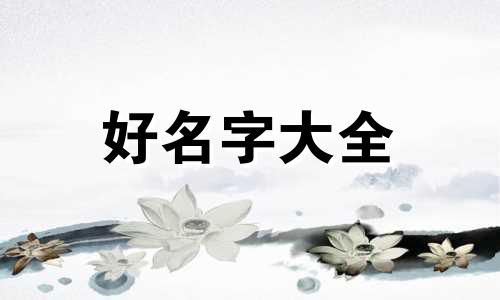 起名网如何选车牌号码