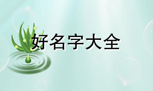 如何给阿狸起名字英文翻译