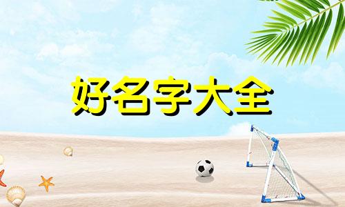 如何给咖色衣服起名字女生