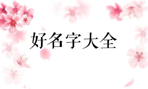二月的兔子如何起名字女孩