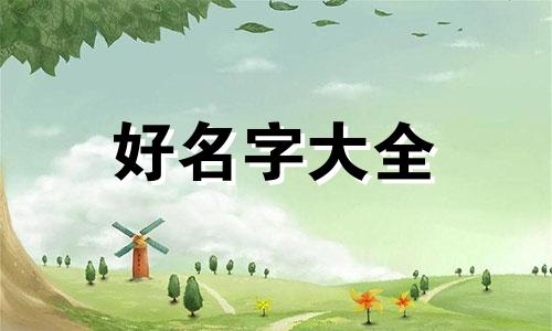 如何给五只小花猫起名字