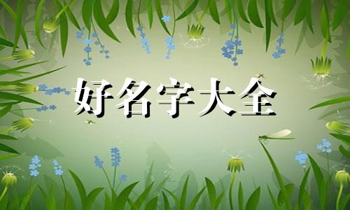 牛宝如何起名好听一点的字