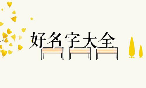 销售植物油如何起名字好听点