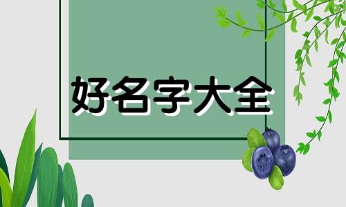 如何帮猫起名字比较好记