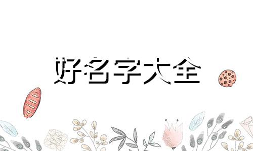 如何学吴京起名字好听一点