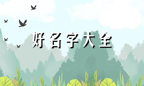 崩坏3如何起名字好听一点