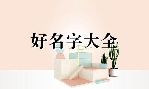 女炸毛娃娃如何起名字好听点