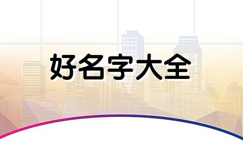 纹绣公司如何起名字吸引人