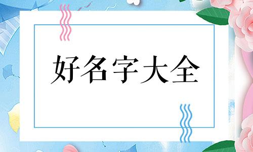 如何给纯灰的猫起名字呢