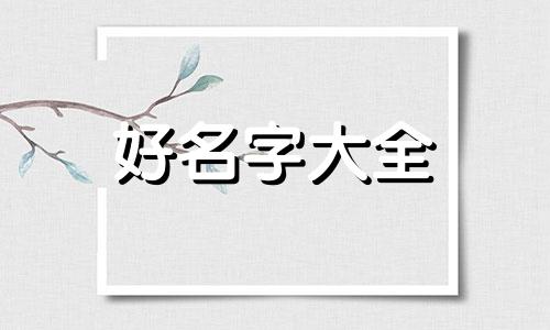食品厂如何起名字吸引人