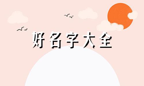 姓杨服装店如何起名字大全
