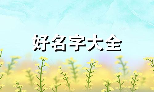 姓苏的微信名如何起名字
