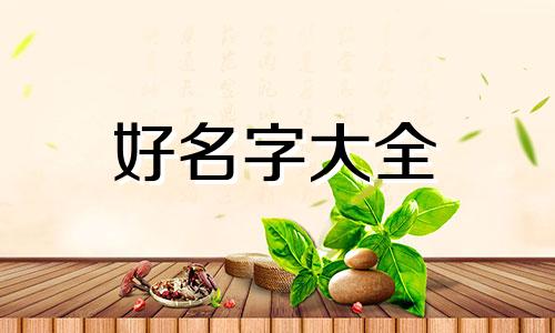 如何用八字起名字视频教学