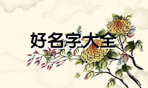 命理先生如何起名字的视频