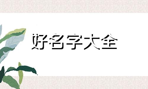 如何给沙龙起名字好听一点