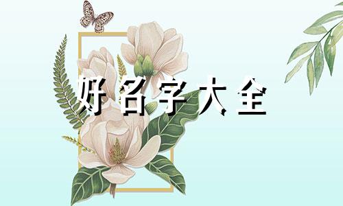 绒毛狗如何起名字好听一点