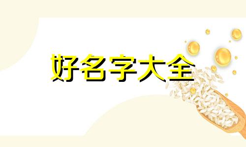 如何给小英短猫起名字好听