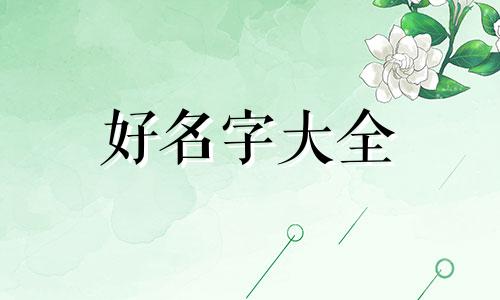 电动自行车如何起名字好听点