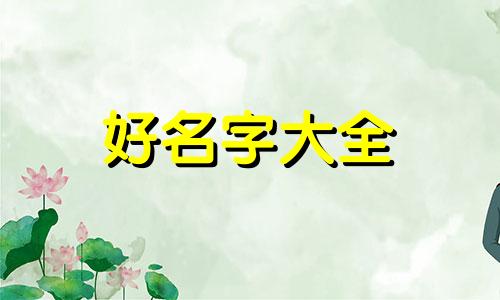 零食博主如何起名字好听