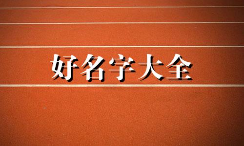 未起名的新生儿如何写姓名