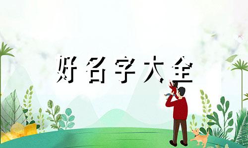 如何给毛绒玩具起名称好听