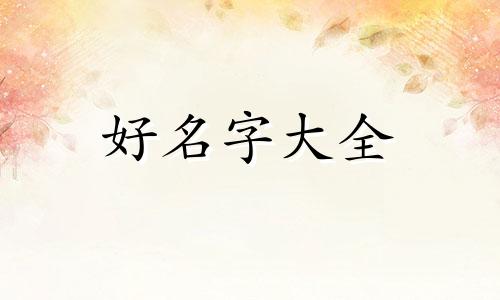 洗车行业如何起名字呢男