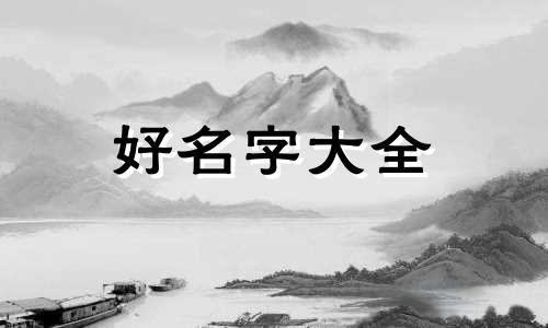 卖宠物用品的店如何起名字