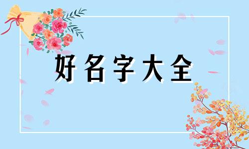 一公一母的猫如何起名字