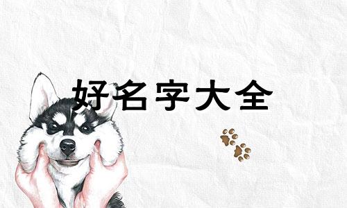 如何给剔尖面馆起名字好听