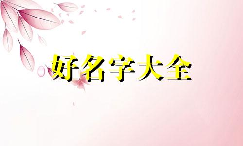 如何给垂耳兔起名好听一点