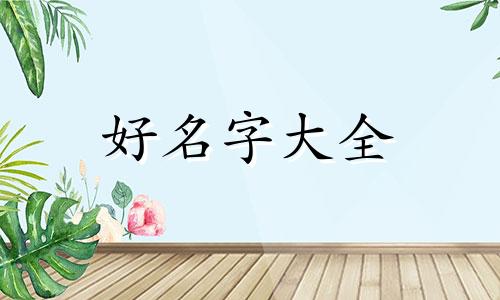 内裤店如何起名字好听一点