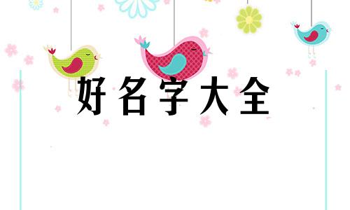菠萝饭如何起名字好听一点