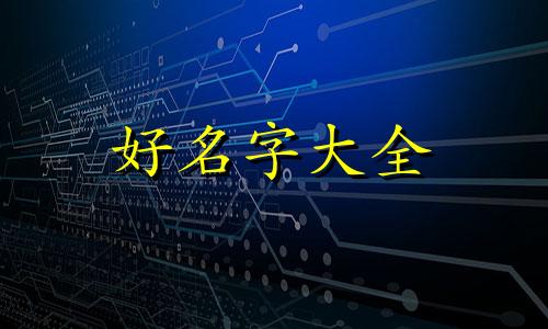 如何给牛仔服装起名称