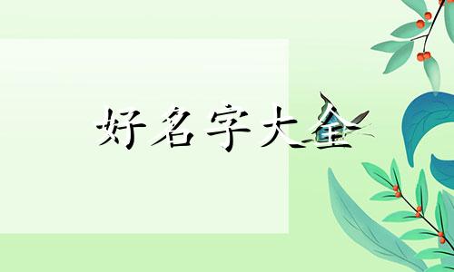 如何给花狗起名字男生两个字