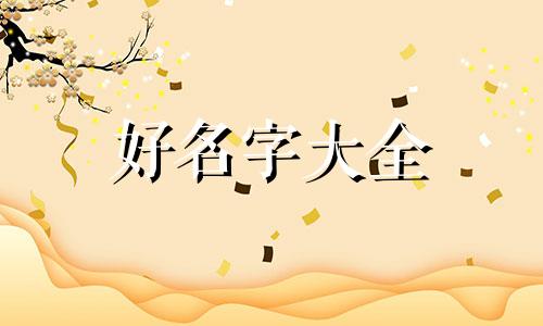 百货类如何起名字好听女
