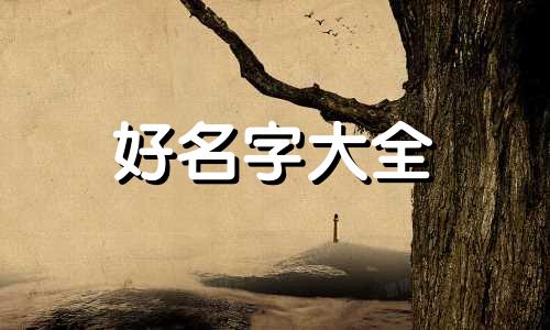 流浪者如何起名字好听一点