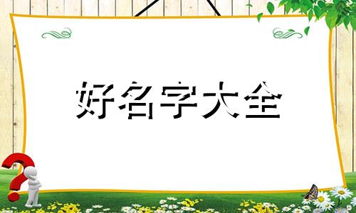 如何给零食包装起名字大全