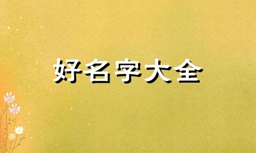 减肥餐如何起名字好听一点