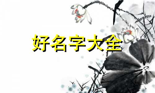 电商公司如何起名字好听一点