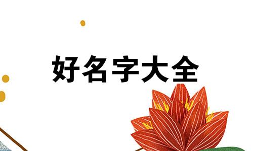 如何给一只金毛起名字女