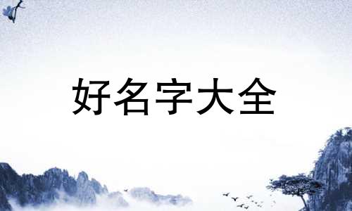 宠物店如何起名字霸气一点
