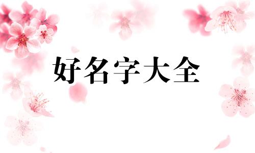 如何给奶猫起名字可爱一点