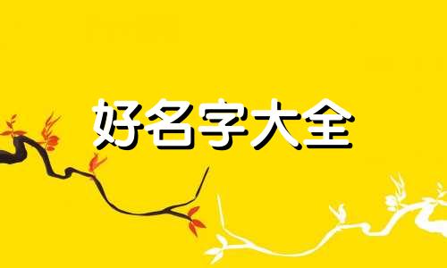起名字如何起合起来的高级感