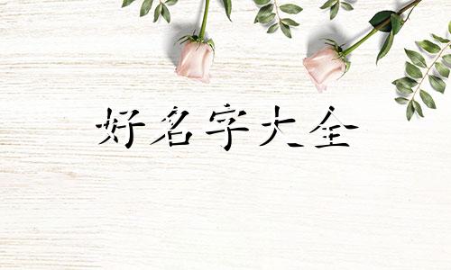 美女如何起名字大全四个字